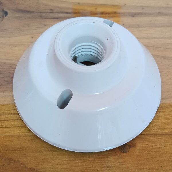 Polish_20250923_094849961 FLORON BLANCO C/PORTALAMPARA