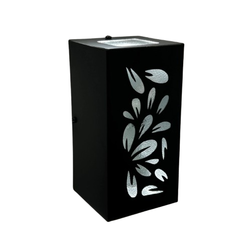 BIDIRECCIONAL CHAPA NEGRA FLORAL (10)